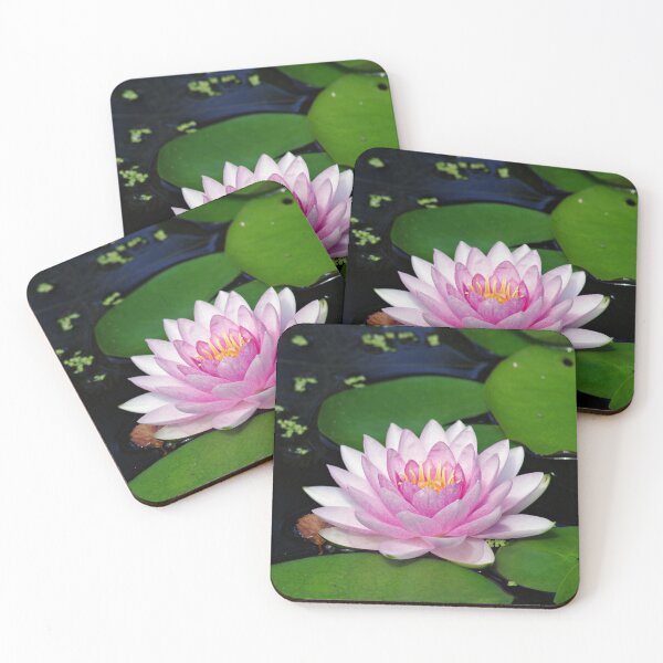 Item preview, Water Lilly designed and sold by Kayleigh Wilson.