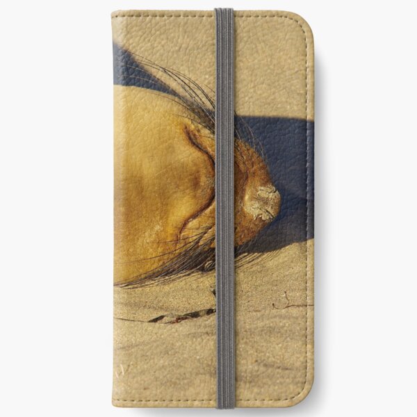 Crashed iPhone Wallet