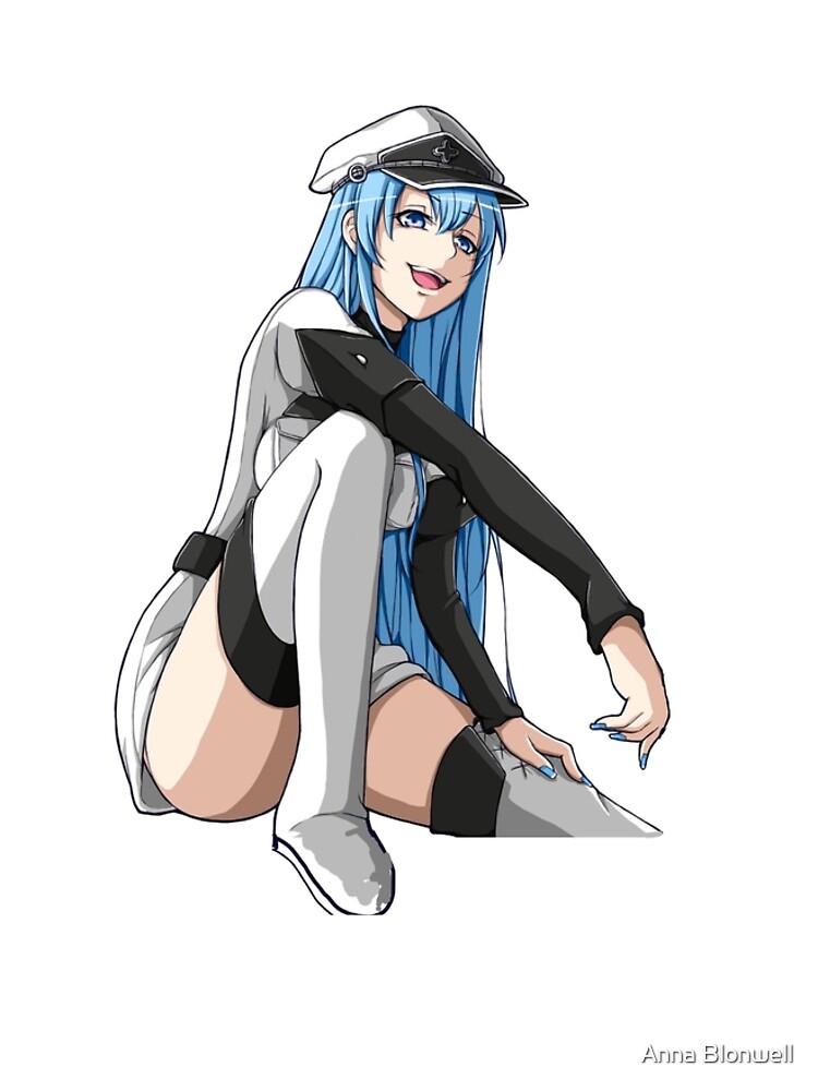 The costume Esdeath in'akame ga kill!