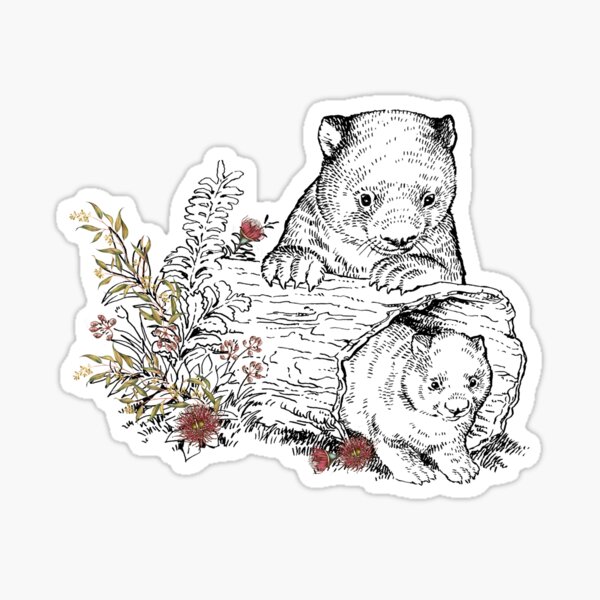 AUSTRALIAN NATIVE ANIMALS WOMBAT WITH HAND ILLUSTRATED AUSTRALIAN BUSHLAND WILDFLOWERS Sticker