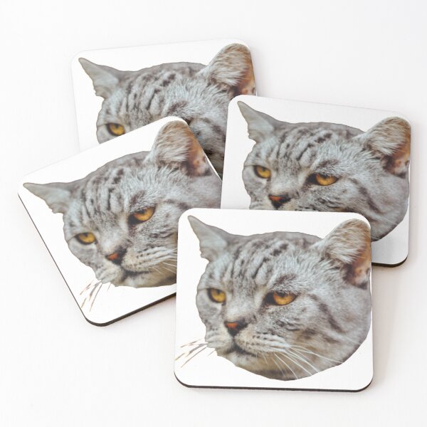 Item preview, bored cats sticker designed and sold by notlegendd.