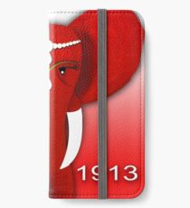 Delta Sigma Theta iPhone Wallet/Case/Skin