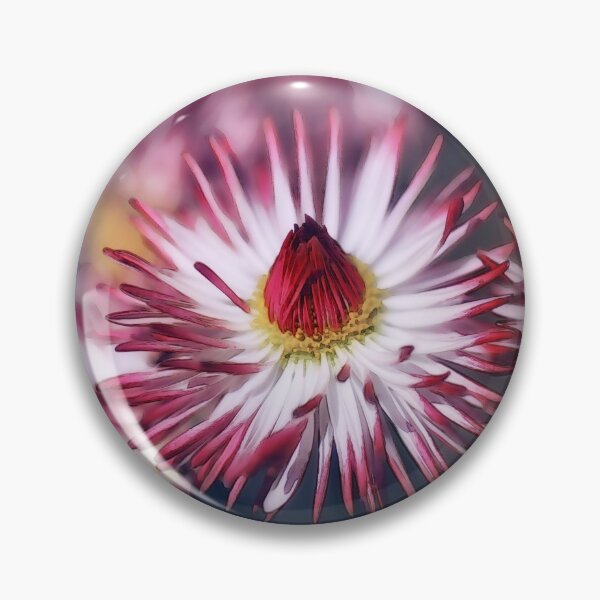 Item preview, Blooming Livingstone Daisy Flower designed and sold by Heathermarie321.