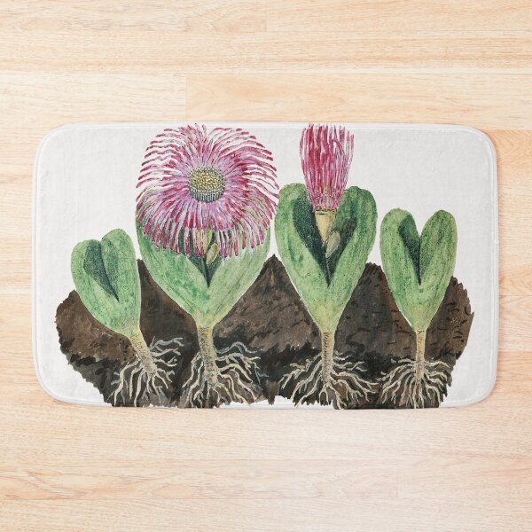Item preview, Mesembbryanthemum testiculare by Robert Jacob Gordon designed and sold by Fiona-Lynn Designs.