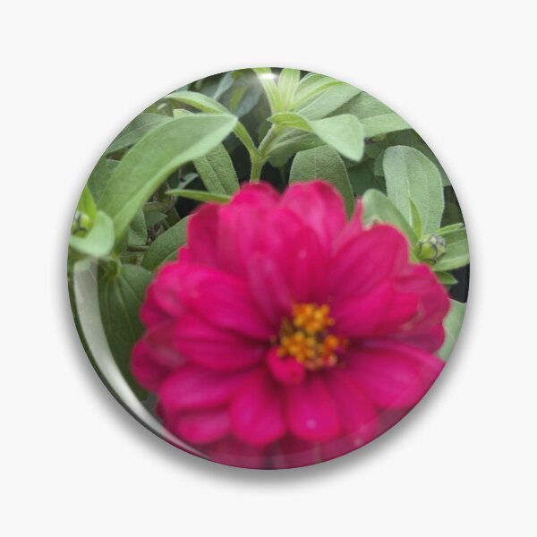 Item preview, Zinnia designed and sold by PhotosbyGray.