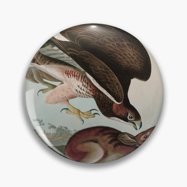 Item preview, Birds of America Audubon Common Buzzard Illustration Bird Lovers Gift designed and sold by VintageArchive.