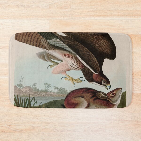 Item preview, Birds of America Audubon Common Buzzard Illustration Bird Lovers Gift designed and sold by VintageArchive.