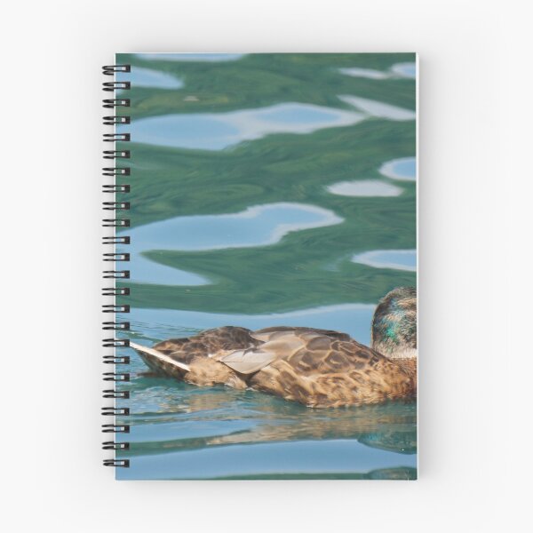 Item preview, lake duck water reflection  designed and sold by SelenePaintings .