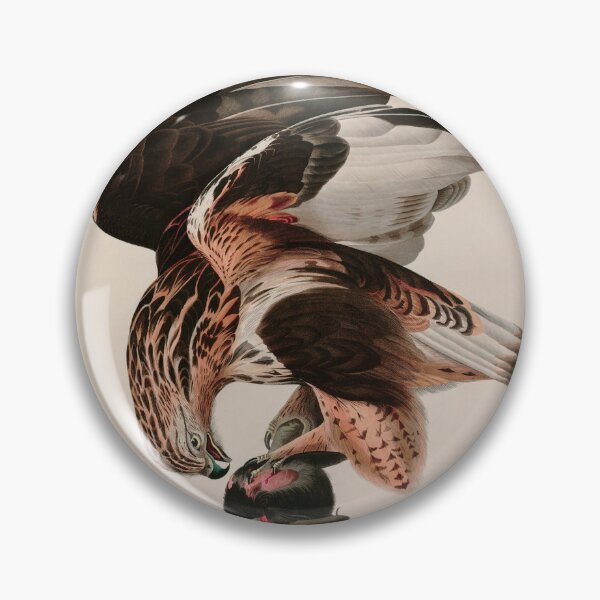 Item preview, Birds of America Audubon Rough-legged Falcon Illustration Bird Lovers Gift designed and sold by VintageArchive.