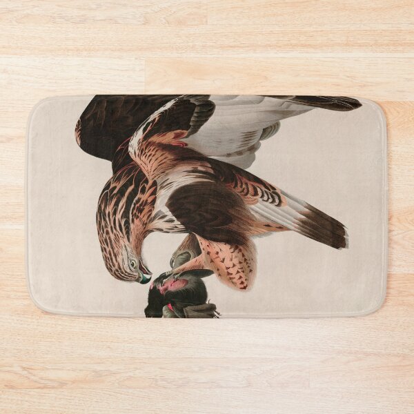 Item preview, Birds of America Audubon Rough-legged Falcon Illustration Bird Lovers Gift designed and sold by VintageArchive.