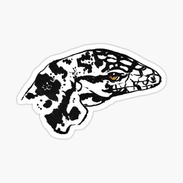 Baby Tegu Sticker