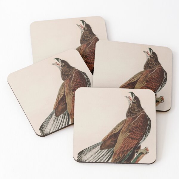 Item preview, Birds of America Audubon White-headed Eagle Illustration Bird Lovers Gift designed and sold by VintageArchive.