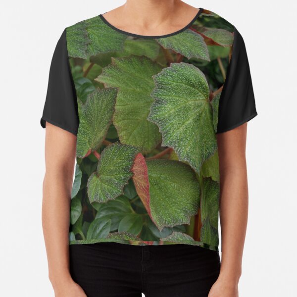 Lush Large Leaf Begonia Chiffon Top