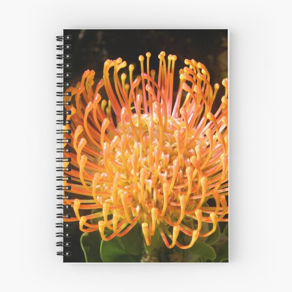 Item preview, Protea Pincushion designed and sold by Tatyana Binovska.