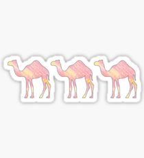 Pink Tie Dye Camels Sticker