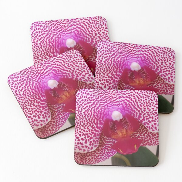 Item preview, I-Hsin Beauty Phalaenopsis Orchid Extreme Close up designed and sold by kittenpink.
