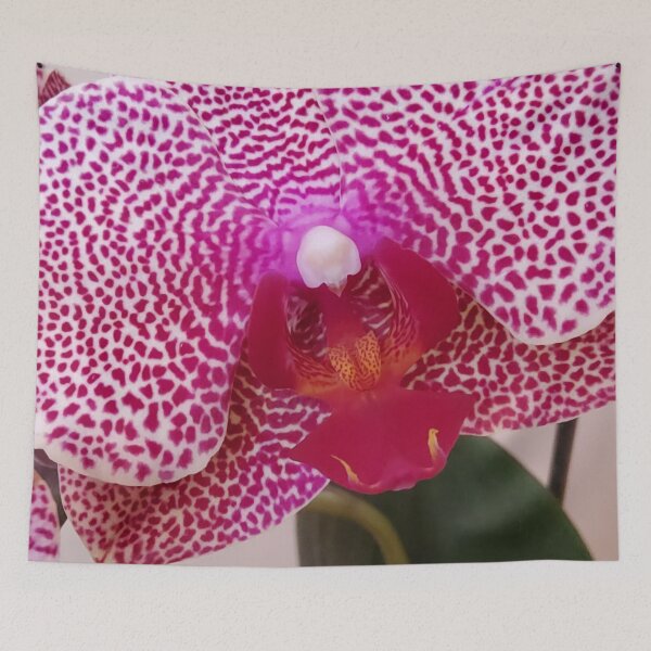 Item preview, I-Hsin Beauty Phalaenopsis Orchid Extreme Close up designed and sold by kittenpink.