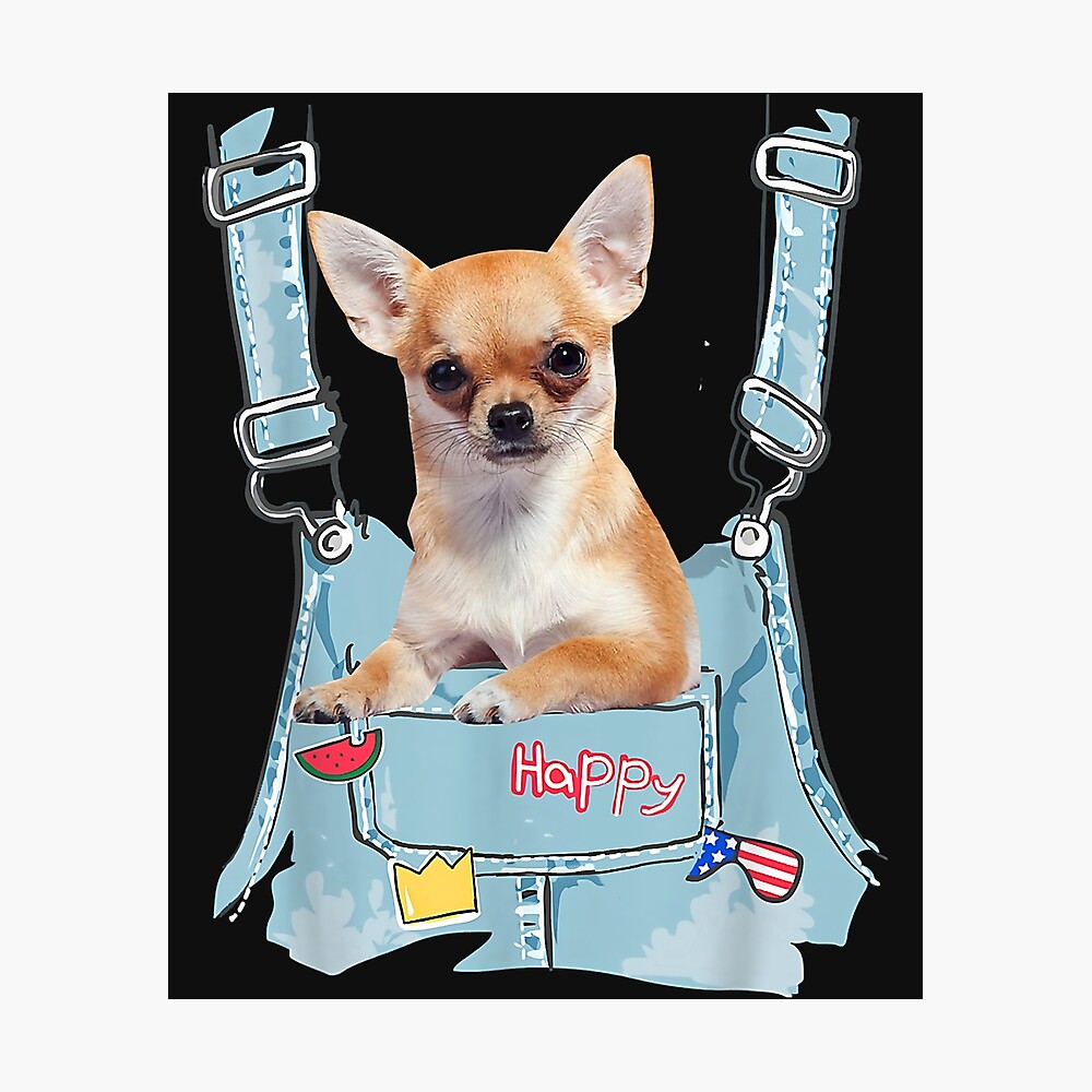 chihuahua overalls