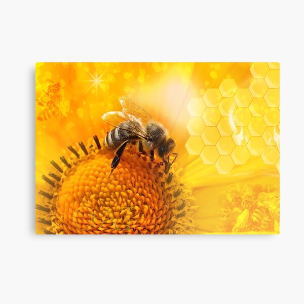 Golden Bee Frequency Canvas Print