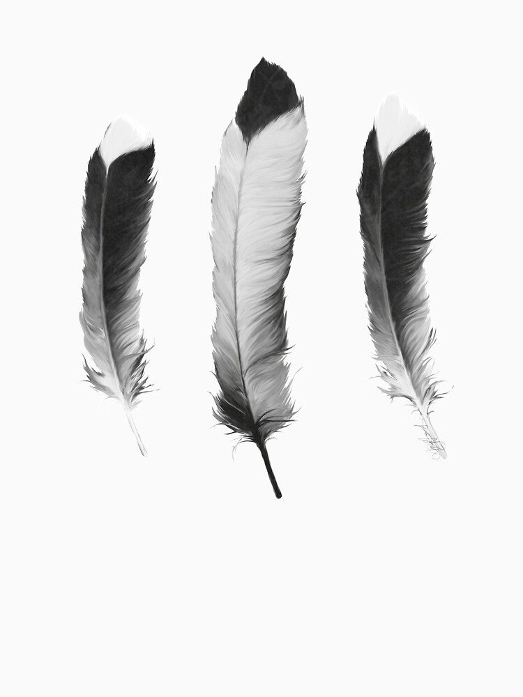 Feathers Sketch by AmyHamilton