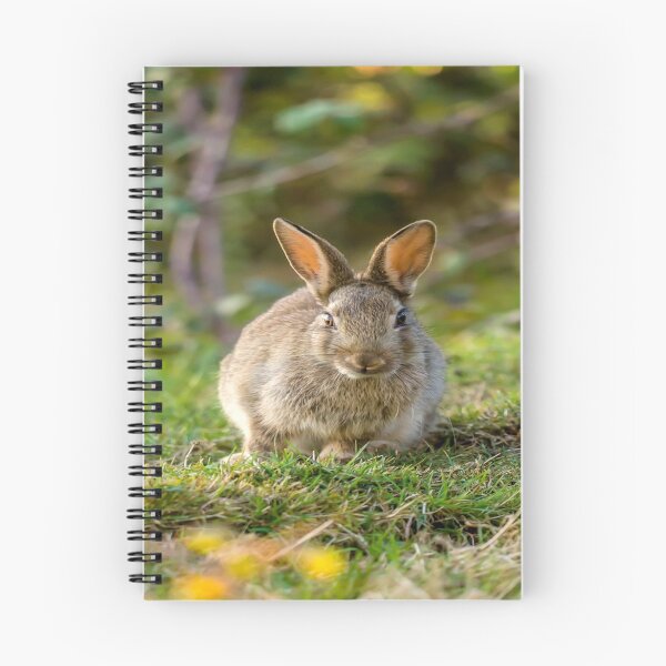 Item preview, Cute Wild Leveret Looking At You designed and sold by Alius Imago.