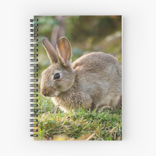 Item preview, Cute Wild Leveret Portrait designed and sold by Alius Imago.