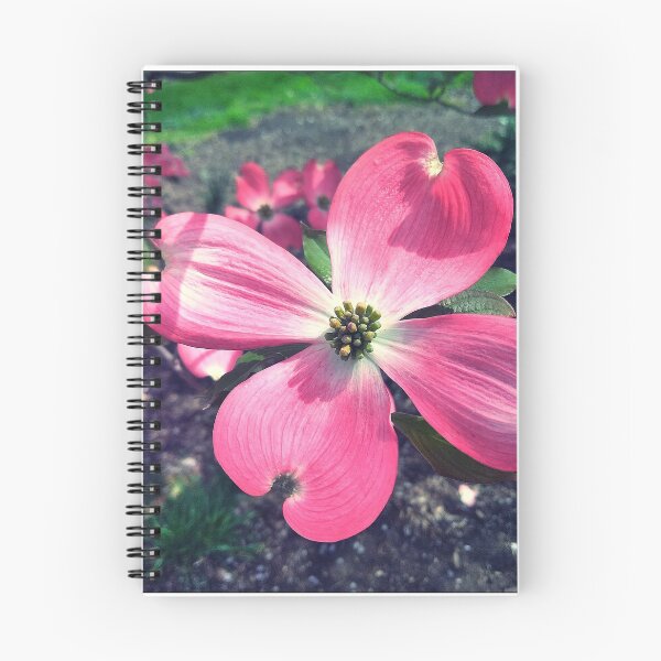 Aperçu de l'œuvre Rose parfait créée et vendue par TatumDesign213.