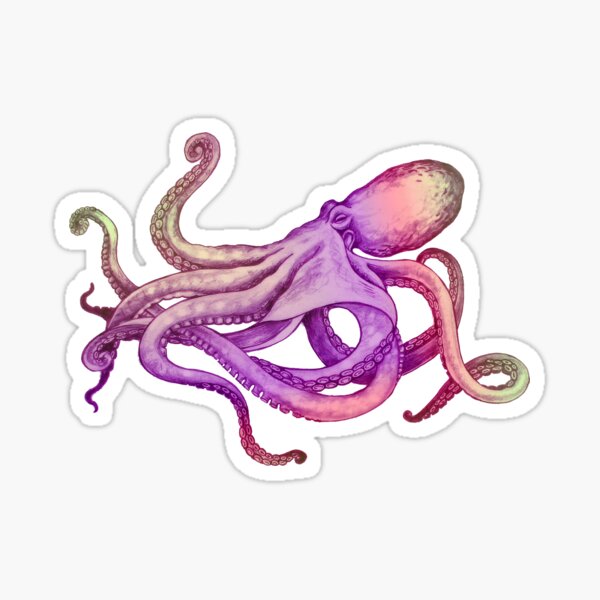 Mystery Octopus Sticker
