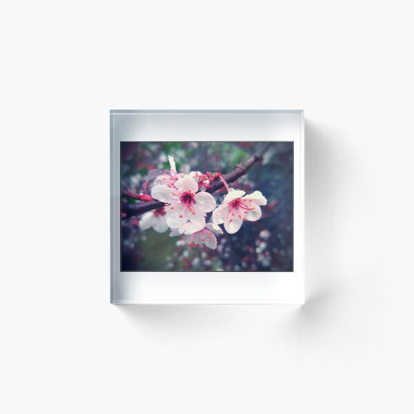 Aperçu de l'œuvre fleur de cerisier créée et vendue par TatumDesign213.