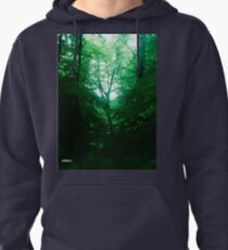 Emerald Glade Pullover Hoodie