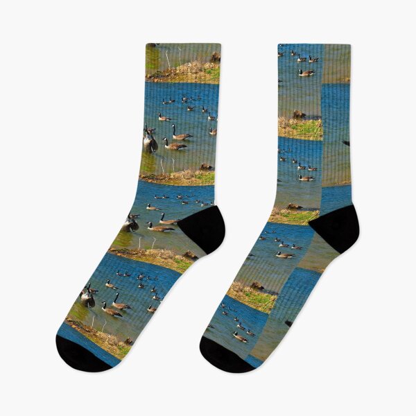 Item preview, Geese Sitting on Lake designed and sold by michaelasamples.