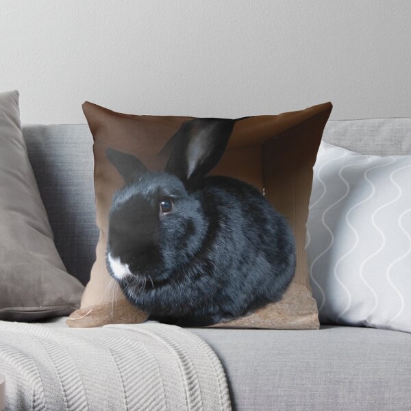 Framed Throw Pillow