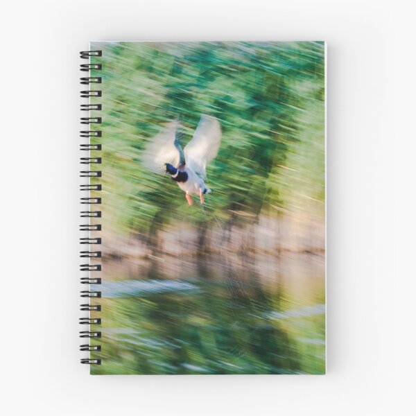 Item preview, Dynamism of a Mallard designed and sold by Alius Imago.