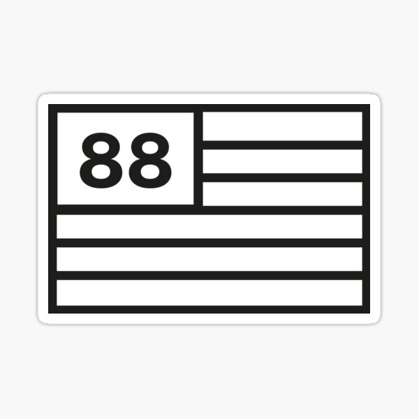 USA-DE Jr Sticker