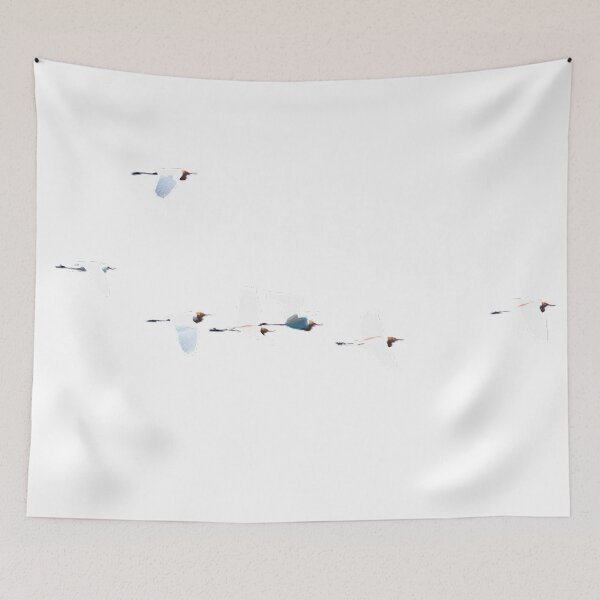 Item preview, Egrets: There are 13 species of birds in the genus Egretta, among which are the Great Egret, Middle Egret, Egret (Little Egret) and Snow Egret. designed and sold by zenger2021.