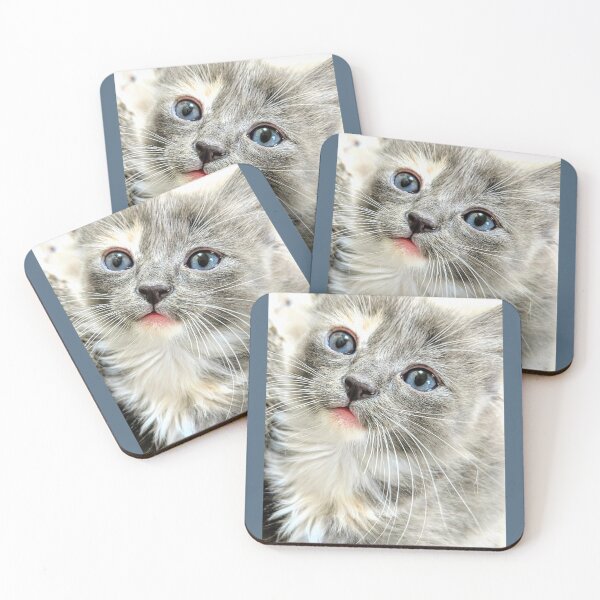 Item preview, Ragdoll Mainecoon kitten designed and sold by Fluffycat2020.