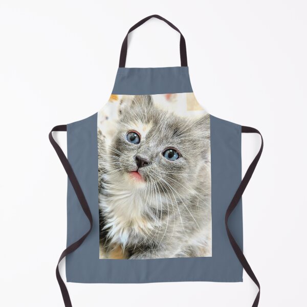 Item preview, Ragdoll Mainecoon kitten designed and sold by Fluffycat2020.