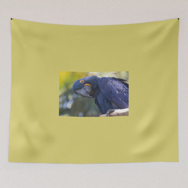 Item preview, Hyacinth designed and sold by byronbackyard.