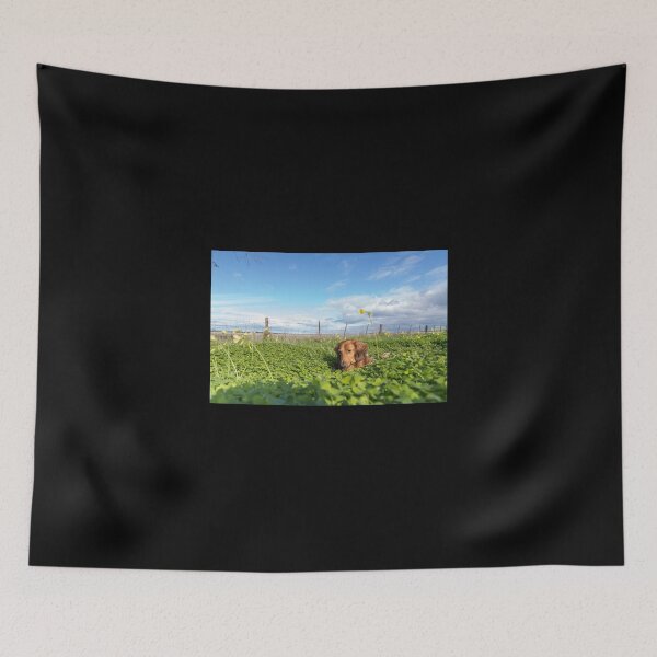 Item preview, Alfie the Dachshund in clover designed and sold by susanzentay.