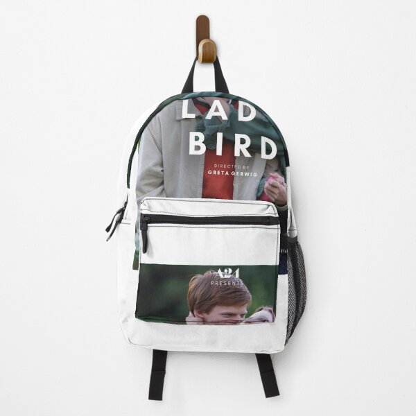 Item preview, Lady bird alternative poster Greta Gerwig designed and sold by JustGretaGerwig.
