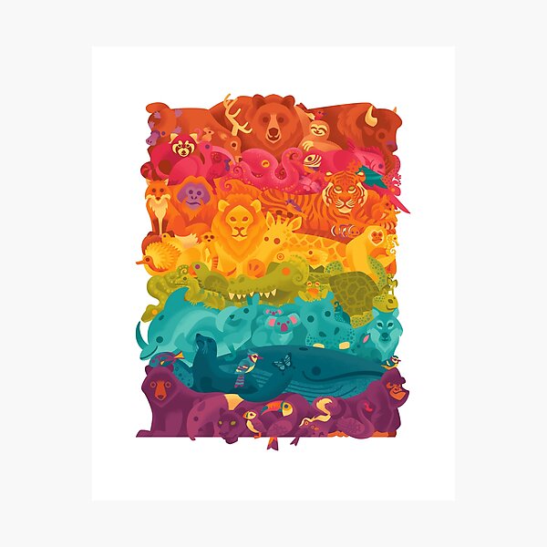 Animal Spectrum Photographic Print