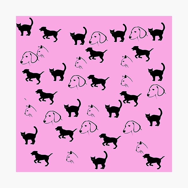 Cats and dogs 103 Photographic Print