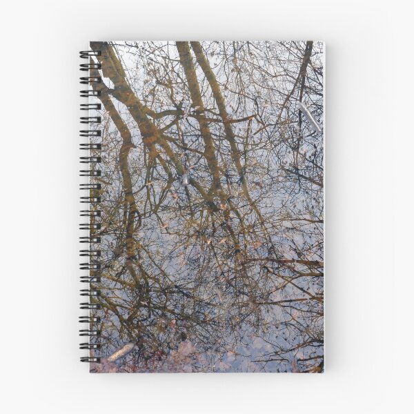 Item preview, Winter stream reflections designed and sold by paulboizot.