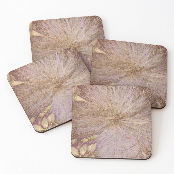 Item preview, An original plant in a decorative garden designed and sold by Fortysious45.