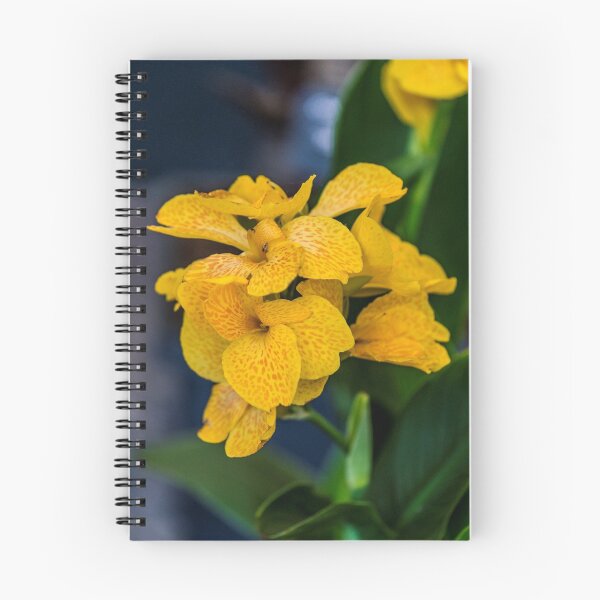 Item preview, Orchid Vanda Yellow designed and sold by Alius Imago.
