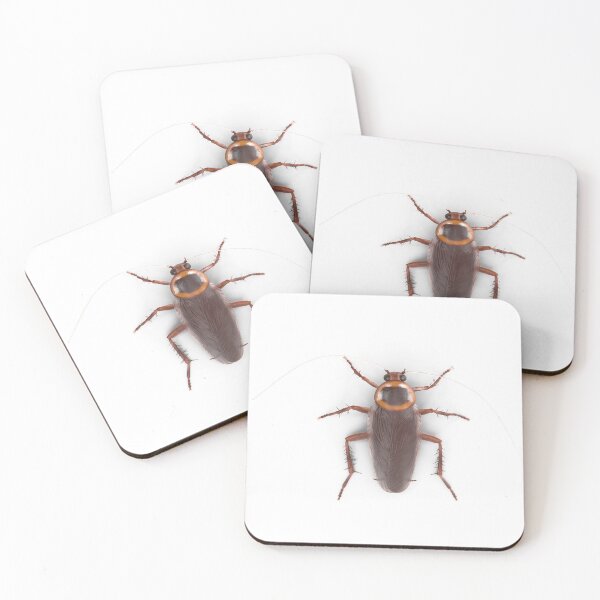 Item preview, Cockroach Realistic Decals designed and sold by wanasak.