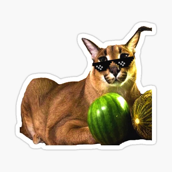 Big Floppa Bigfloppa Stickers Redbubble