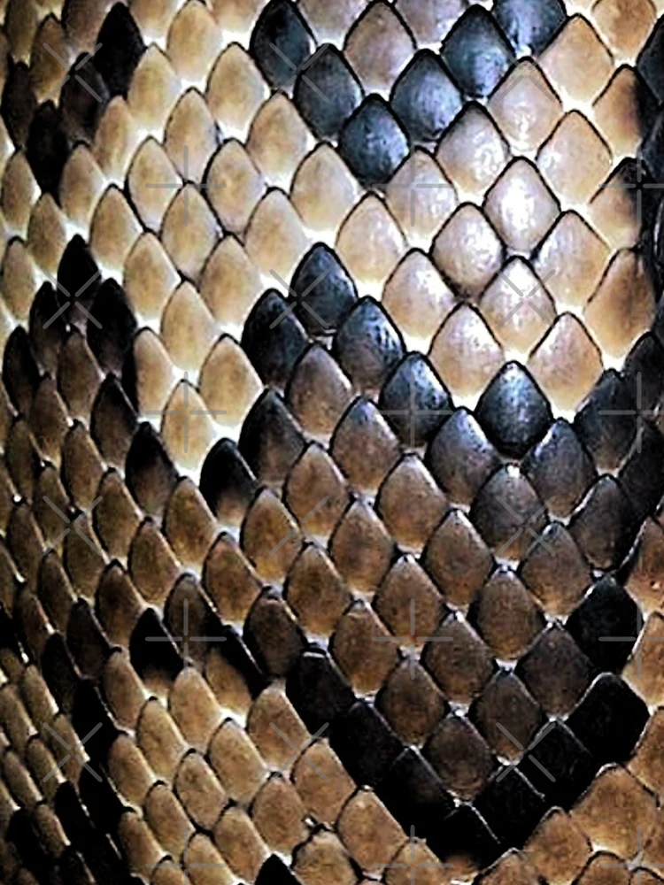 Thumbnail 4 of 4, iPhone Case, Python Skin designed and sold by Baboki.