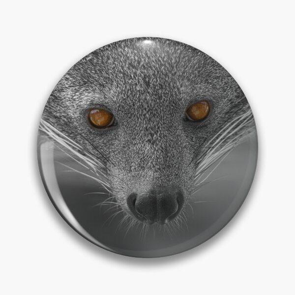 Item preview, Binturong Looking At You designed and sold by rawshutterbug.