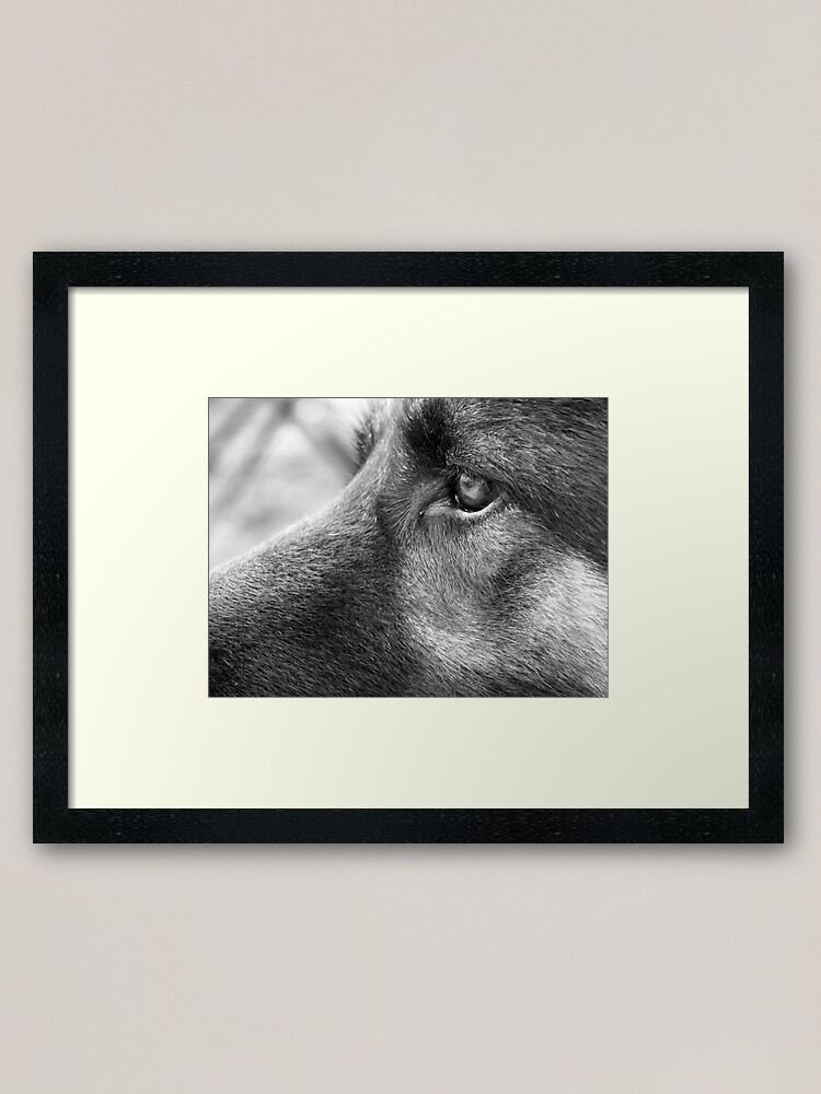 Alternate view of A Steady Gaze Framed Art Print